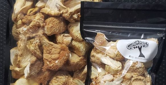 Dehydrated Chestnut Mushrooms