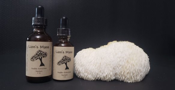 Lion’s Mane Tincture
