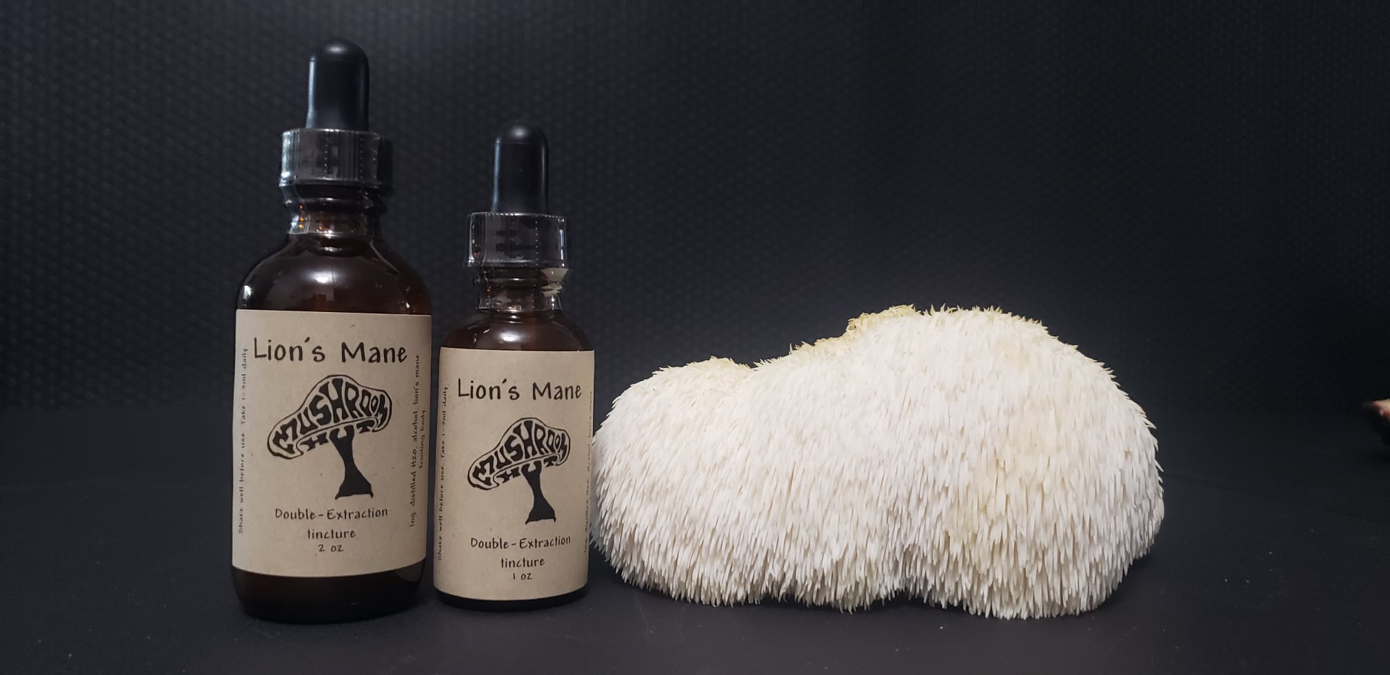 Lion’s Mane Tincture