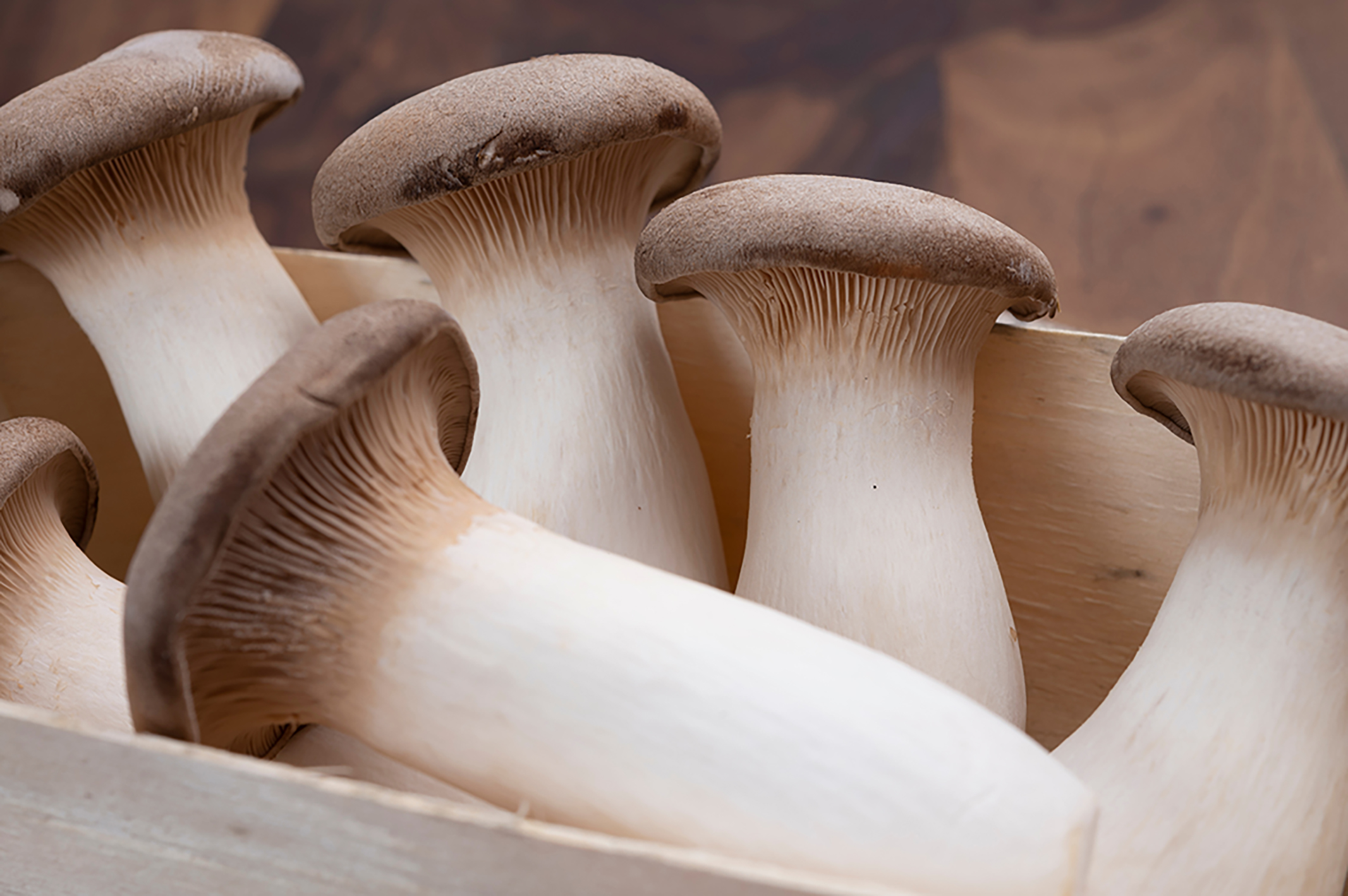Fresh King Trumpet Mushrooms